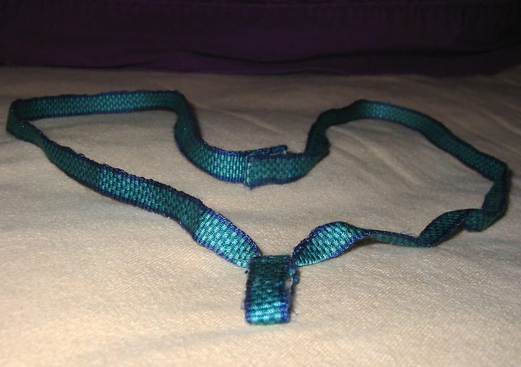 Lanyard